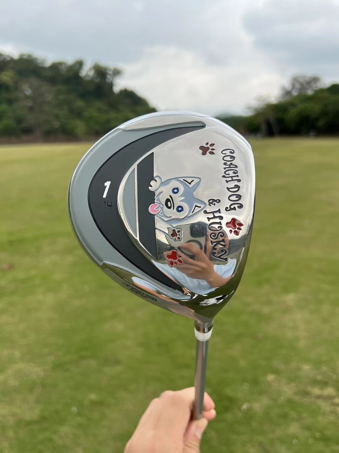 Happy dog ​​cartoon image golf - Golf Equipment Junior 评论和价格